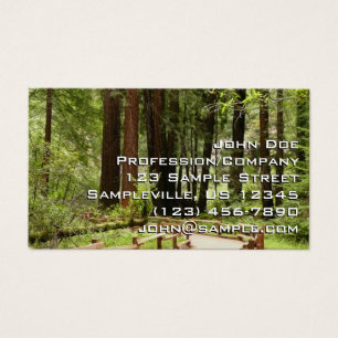 Muir Woods Path I Nature Photography