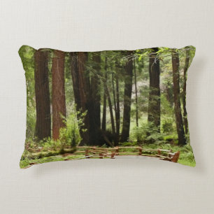 Muir Woods Path I Nature Photography Decorative Cushion