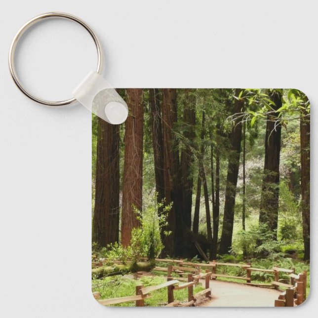 Muir Woods Path I Nature Photography Key Ring (Front)