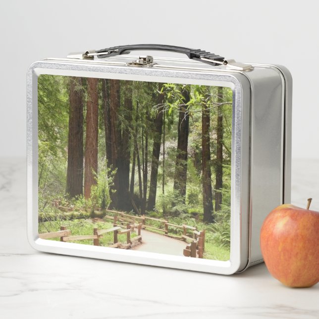 Muir Woods Path I Nature Photography Metal Lunch Box (In Situ)