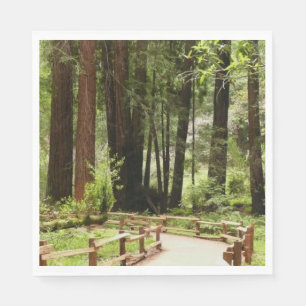 Muir Woods Path I Nature Photography Napkin