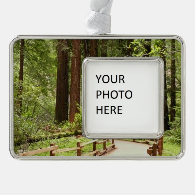 Muir Woods Path I Nature Photography Silver Plated Framed Ornament (Front)