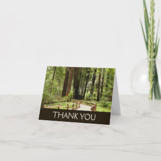 Muir Woods Path I Nature Photography Thank You Card