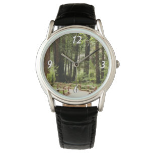 Muir Woods Path I Nature Photography Watch