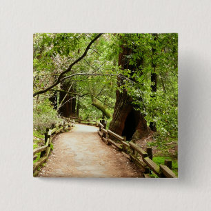 Muir Woods Path II Nature Photography 15 Cm Square Badge
