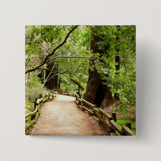 Muir Woods Path II Nature Photography 15 Cm Square Badge (Front)