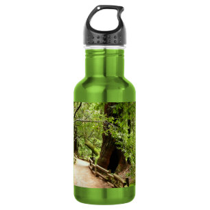 Muir Woods Path II Nature Photography 532 Ml Water Bottle