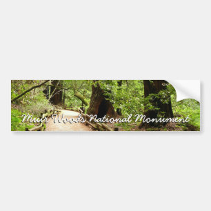 Muir Woods Path II Nature Photography Bumper Sticker