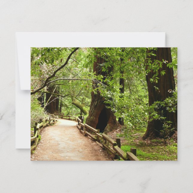 Muir Woods Path II Nature Photography Card (Front)