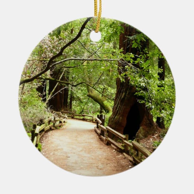Muir Woods Path II Nature Photography Ceramic Tree Decoration (Front)