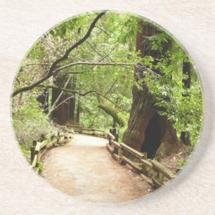 Muir Woods Path II Nature Photography Coaster