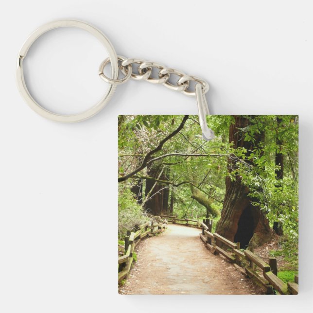 Muir Woods Path II Nature Photography Key Ring (Front)