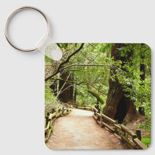 Muir Woods Path II Nature Photography Key Ring (Front)