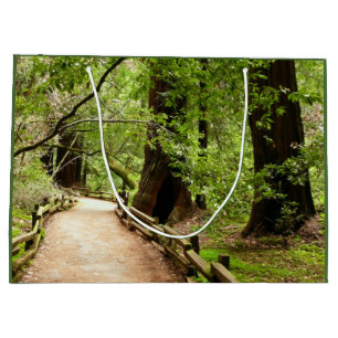 Muir Woods Path II Nature Photography Large Gift Bag