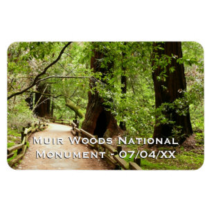 Muir Woods Path II Nature Photography Magnet