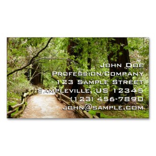 Muir Woods Path II Nature Photography Magnetic Business Card