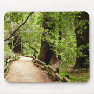Muir Woods Path II Nature Photography Mouse Mat