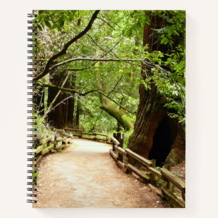Muir Woods Path II Nature Photography Notebook