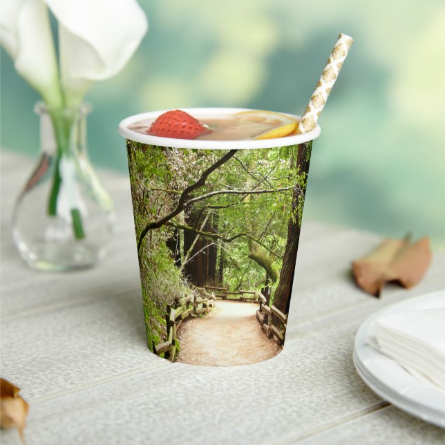 Muir Woods Path II Nature Photography Paper Cups (Insitu)
