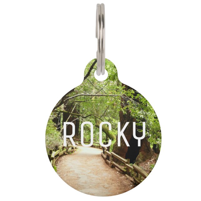Muir Woods Path II Nature Photography Pet Tag (Front)