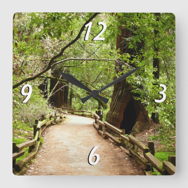 Muir Woods Path II Nature Photography Square Wall Clock (Front)