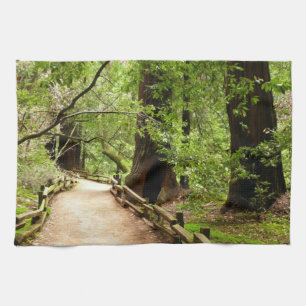 Muir Woods Path II Nature Photography Tea Towel