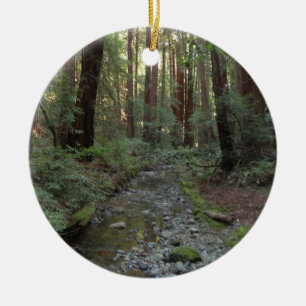 Muir Woods Stream Forest Landscape Ceramic Tree Decoration