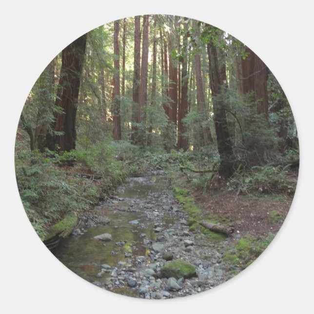 Muir Woods Stream Forest Landscape Classic Round Sticker (Front)
