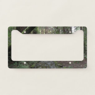 Muir Woods Stream Forest Landscape Licence Plate Frame
