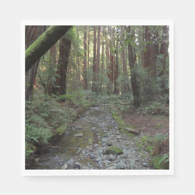 Muir Woods Stream Forest Landscape Napkin (Front)