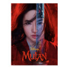 Mulan Sword Reflection Theatrical Art