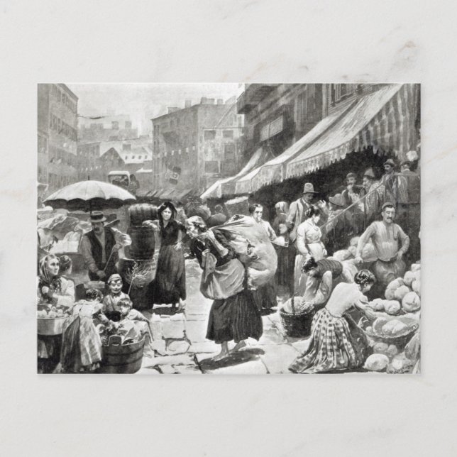 Mulberry Bend Italian Colony in New York Postcard (Front)