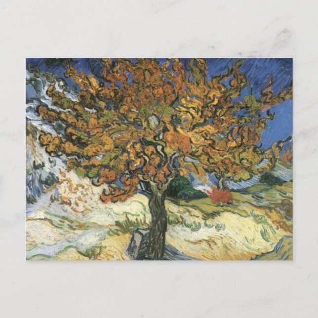 Mulberry Tree by van Gogh Holiday Postcard (Front)