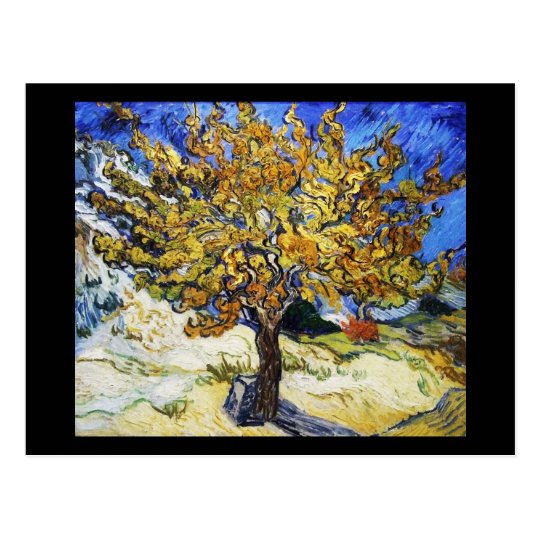 Mulberry Tree Postcard