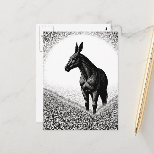 Mule Black and White Postcard (Front/Back In Situ)