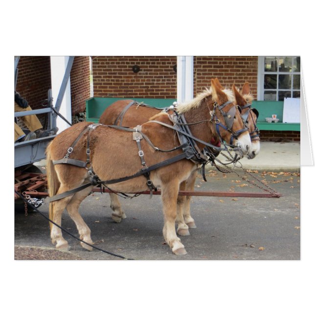 Mule Cart (Front Horizontal)