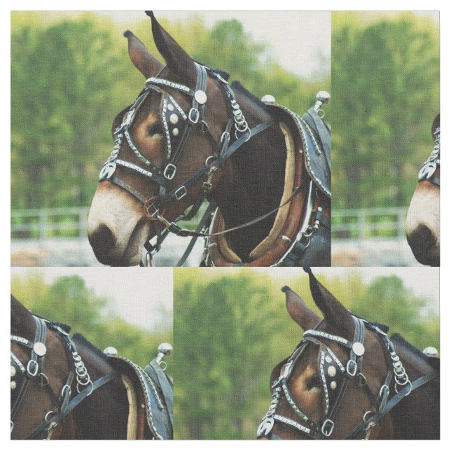 mule day fabric (Close Up)