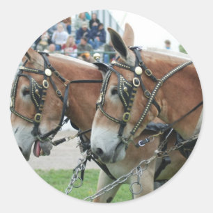 mule days classic round sticker