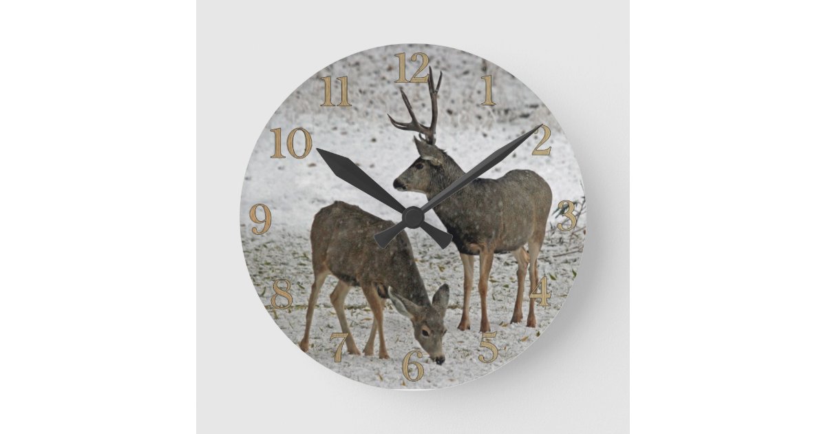 Mule debuck and doe round clock | Zazzle