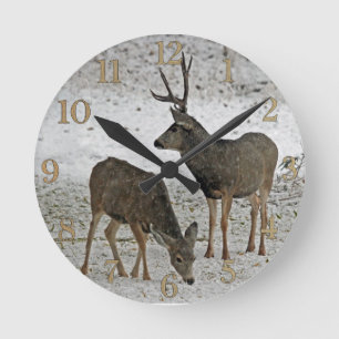 Mule debuck and doe round clock