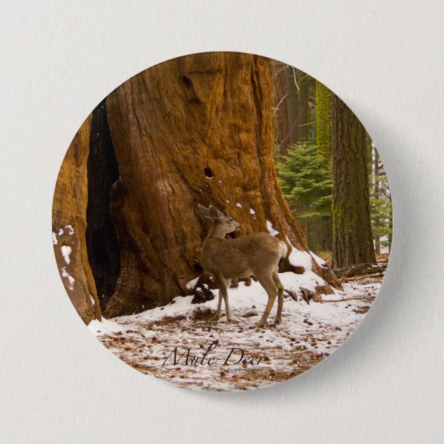 Mule Deer 7.5 Cm Round Badge (Front)