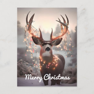 Mule Deer and Christmas Lights Holiday Postcard