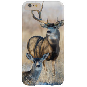 Mule Deer Buck and Doe Barely There iPhone 6 Plus Case