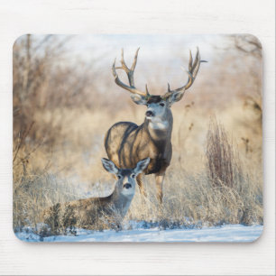 Mule Deer Buck and Doe Mouse Mat