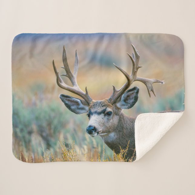 Mule Deer Buck | Grand Teton National Park Wyoming Sherpa Blanket (Front (Horizontal))