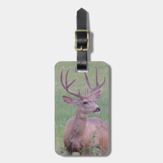 Mule Deer Buck Luggage Tag