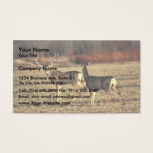 Mule Deer Business Card
