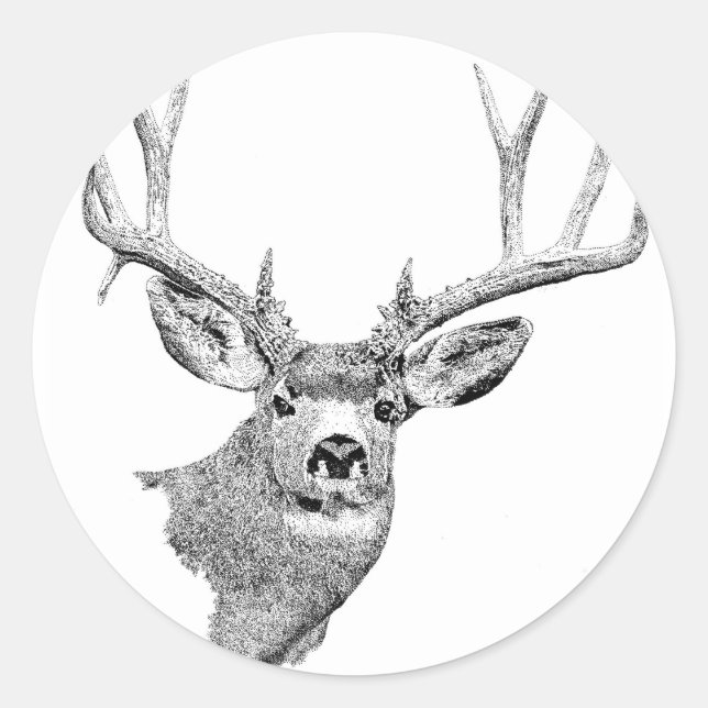 Mule Deer Classic Round Sticker (Front)