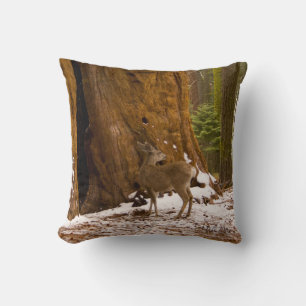 Mule Deer Cushion