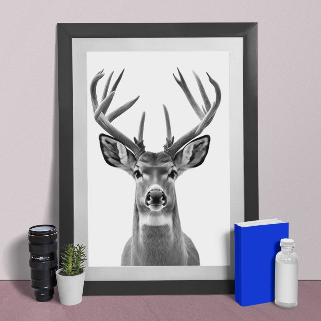 Mule Deer Desert Animal Portrait  Poster (Creator Uploaded)